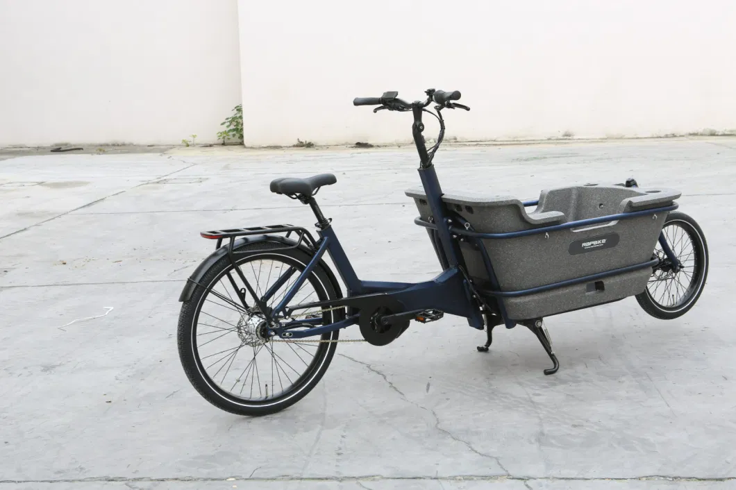 Wholesale Front Loading Fat Tire/Tyre Rideable Children MID Motor Battery Family Delivery Electric Cargo Bike At006 48V