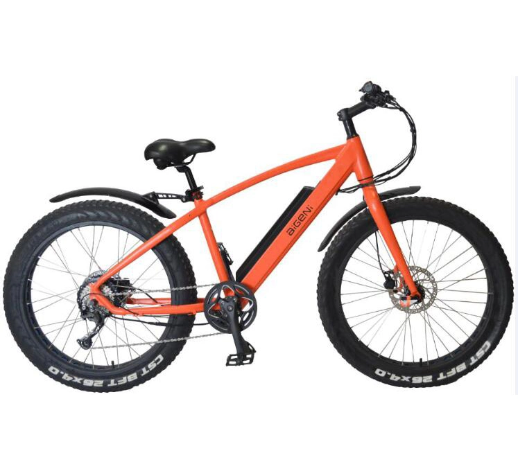 Down Hill Mountain Bike for Hot Sale Electric Bicycle/ 48V 350W