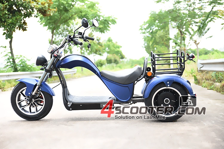 Electric Motorcycle 3 Three Wheel Scooter for Sale Trike From Europe Warehouse