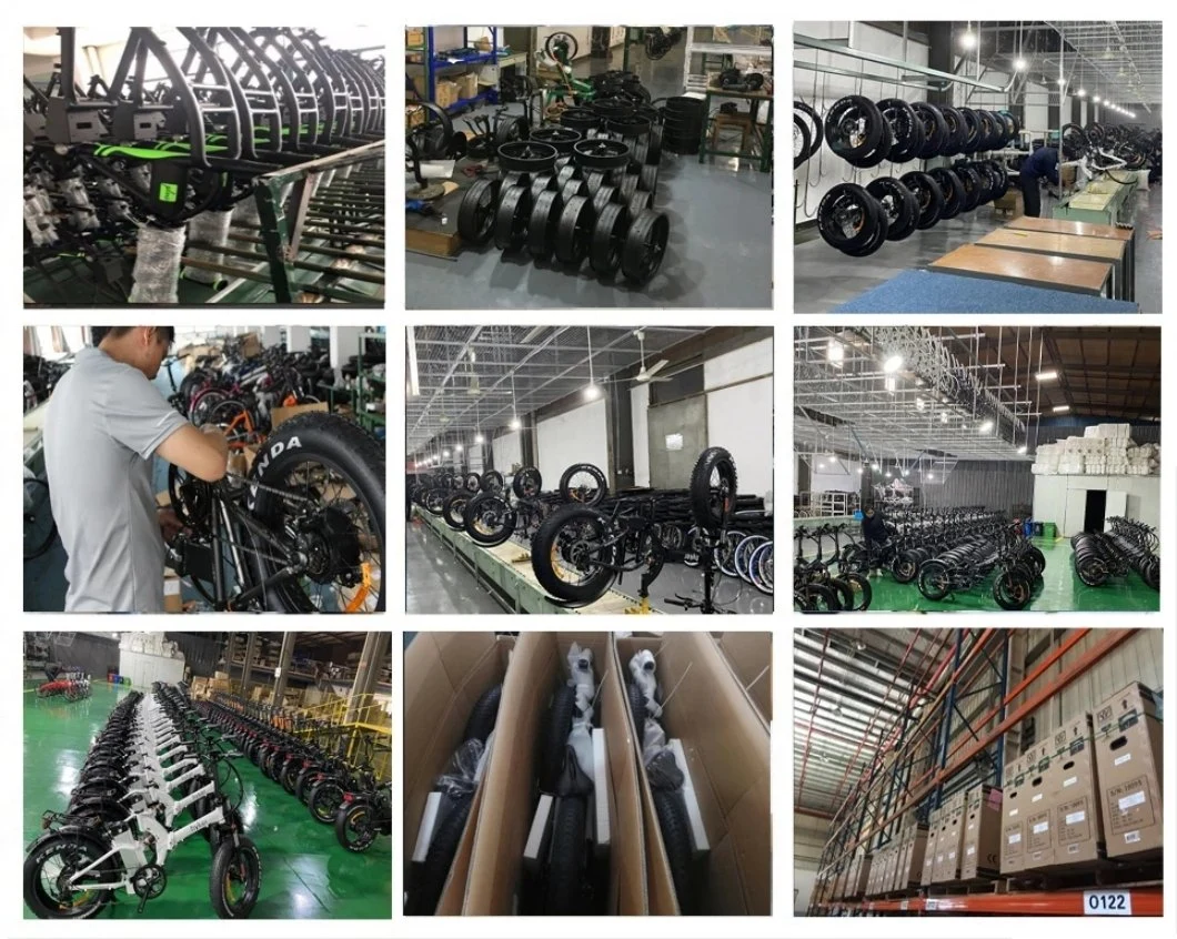 China Manufacturer Good Quality Family Used Electrico Triciclo 36V250W Fat Tire Rear 3 Wheel Hub Motor Electric Cargo Transport Tricycle