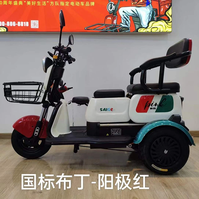 Saige 500W Dual Use of Passenger and Freight Tricycle with Daytime Running Light Anti-Roll Back and Electronic Brake Assist