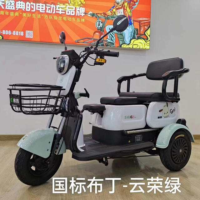 Saige 500W Dual Use of Passenger and Freight Tricycle with Daytime Running Light Anti-Roll Back and Electronic Brake Assist