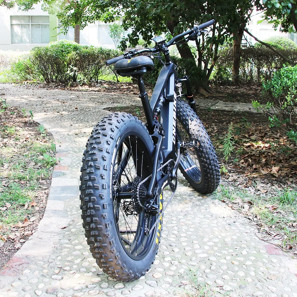 Carbon Fiber MTB 1000W MID-Mounted Motor Electric Mountain Bike