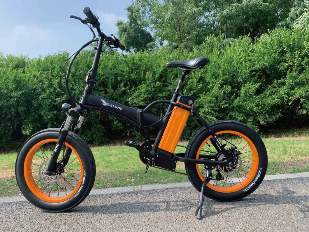 EEC Hot-Sale Adult Electric Bikes and Kid E-Bike with 36V/48V Lithium Battery 250W/500W Motors