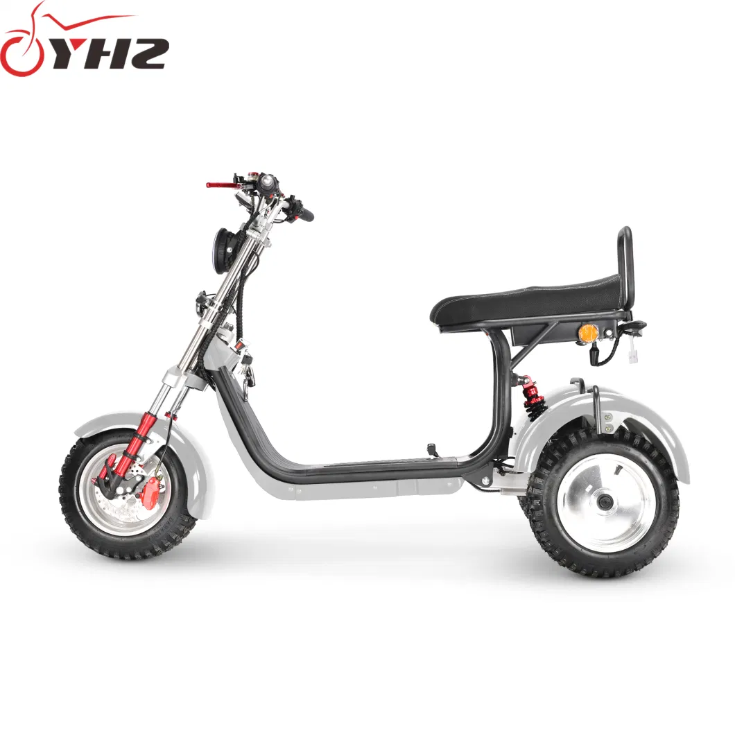 Factory Price Electric Trike Citycoco EEC 4000W 3-Wheel Motorcycle with Two Motor