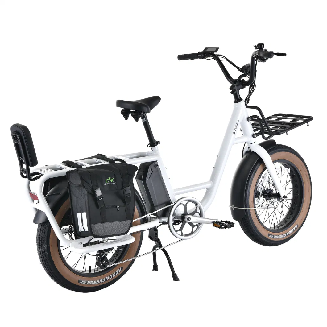 UTI 48V 500W Hub Motor Compact E-Cargo Bike 20&prime;&prime; Multifunctional Electric Bicycle