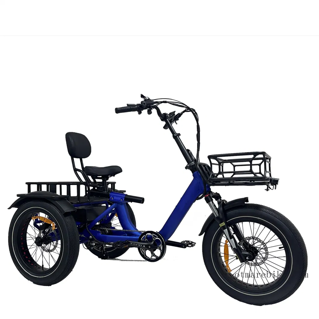 New Model Cargo 3 Wheel Electric Bike Big Power 750W Rear Drive Trike Adult Fast Electric Trike