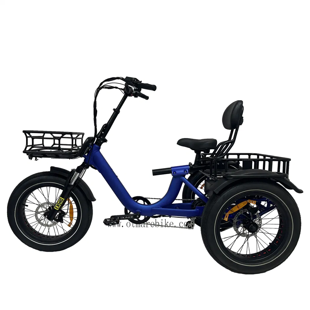 New Model Cargo 3 Wheel Electric Bike Big Power 750W Rear Drive Trike Adult Fast Electric Trike