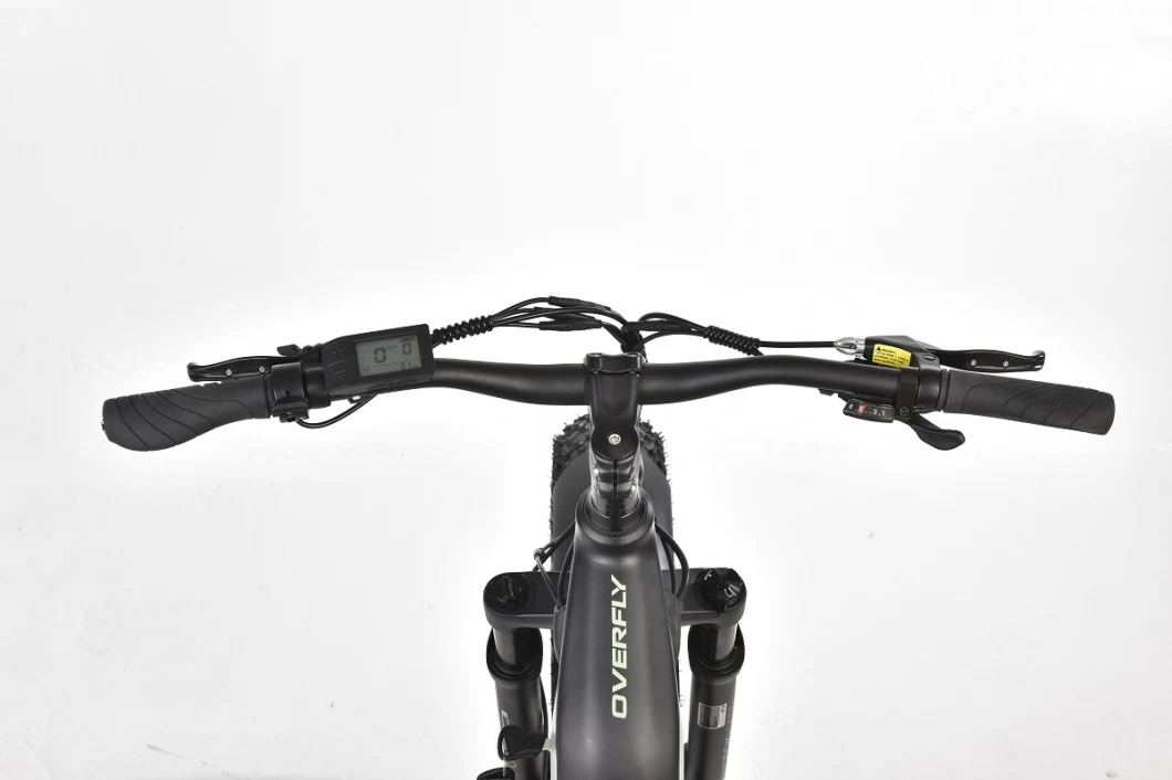 E MTB Fat Tire Electric Bike with 48V 750W Bafang Rear Motor