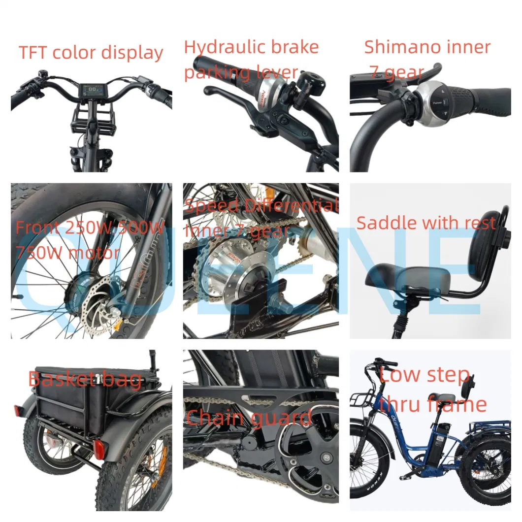 750W Powerful Bafang Rear Motor Electric Tricycle 3 Wheels E Trike Cargo Bike Fat Tire Electric Trike