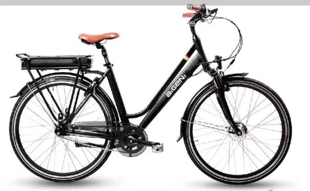 Down Hill Mountain Bike for Hot Sale Electric Bicycle/ 48V 350W