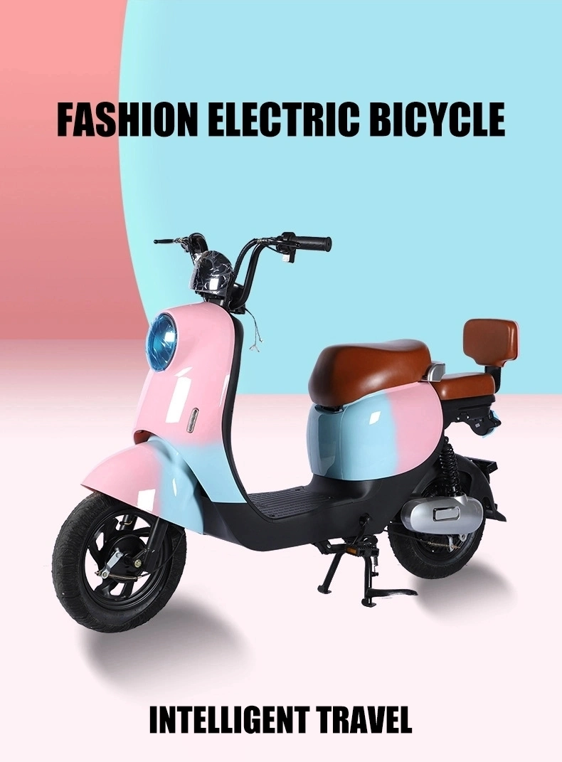 2 Wheels Electric Motorbike E-Bike Electrical Bicycle Adult Electric Bike