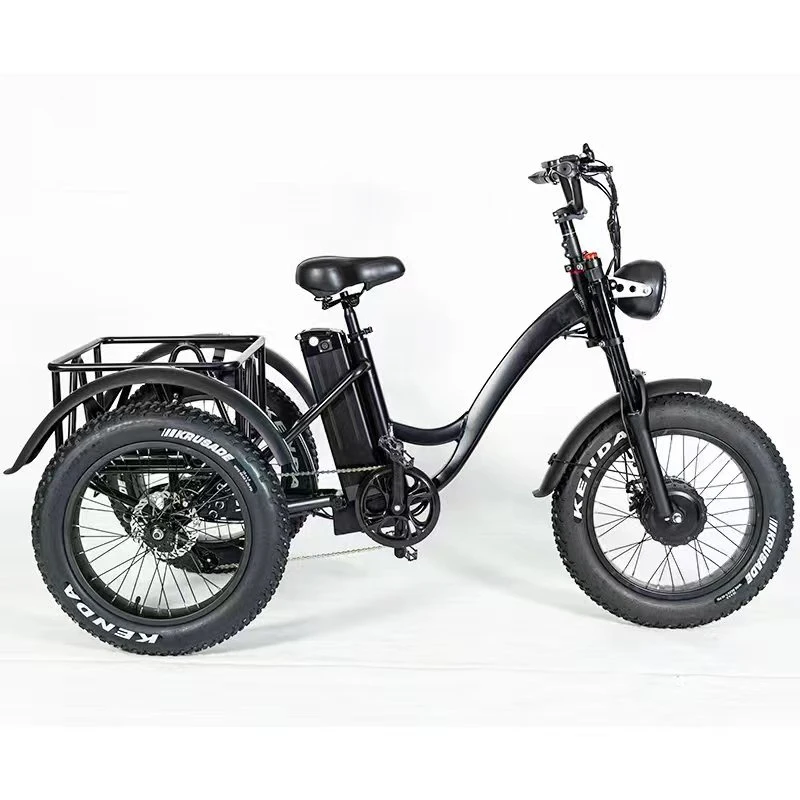 20&quot; E-Tricycle Fat Tire Tyre 48V 500W Front Drive Electric Trike with 48V 10ah Battery Outside Frame Body