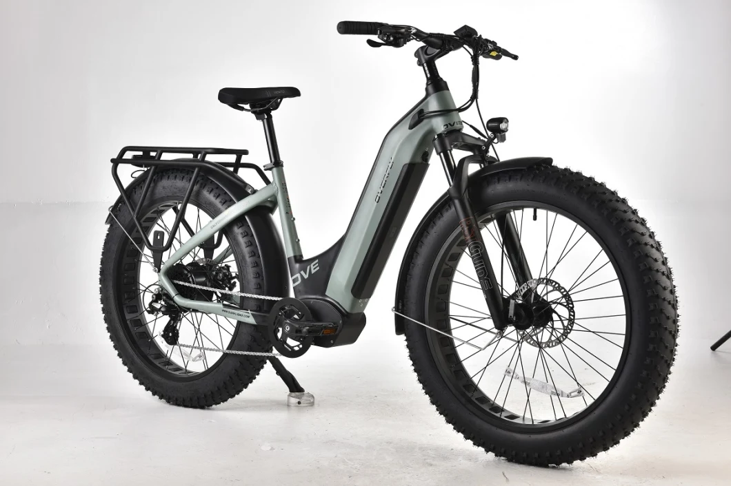 E MTB Fat Tire Electric Bike with 48V 750W Bafang Rear Motor