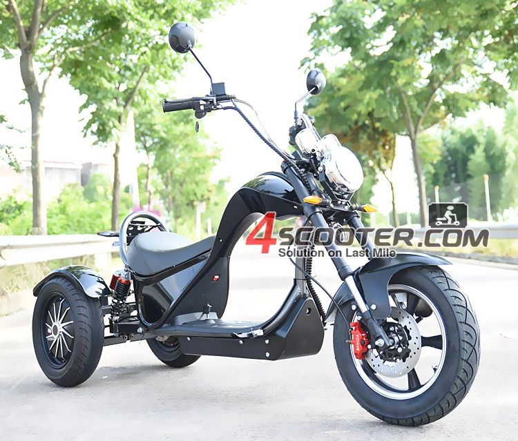 EEC High Quality 4000W 3 Wheels Electric Scooter Trike