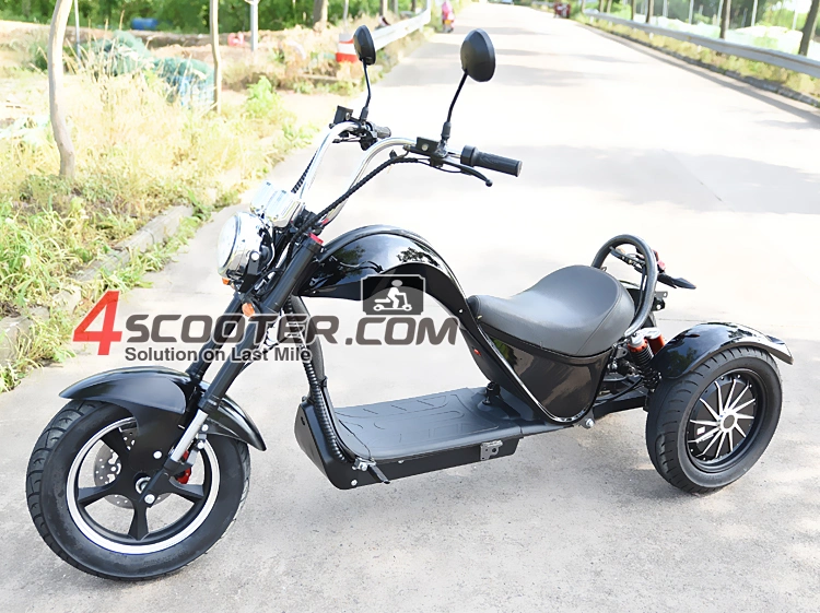 EEC High Quality 4000W 3 Wheels Electric Scooter Trike