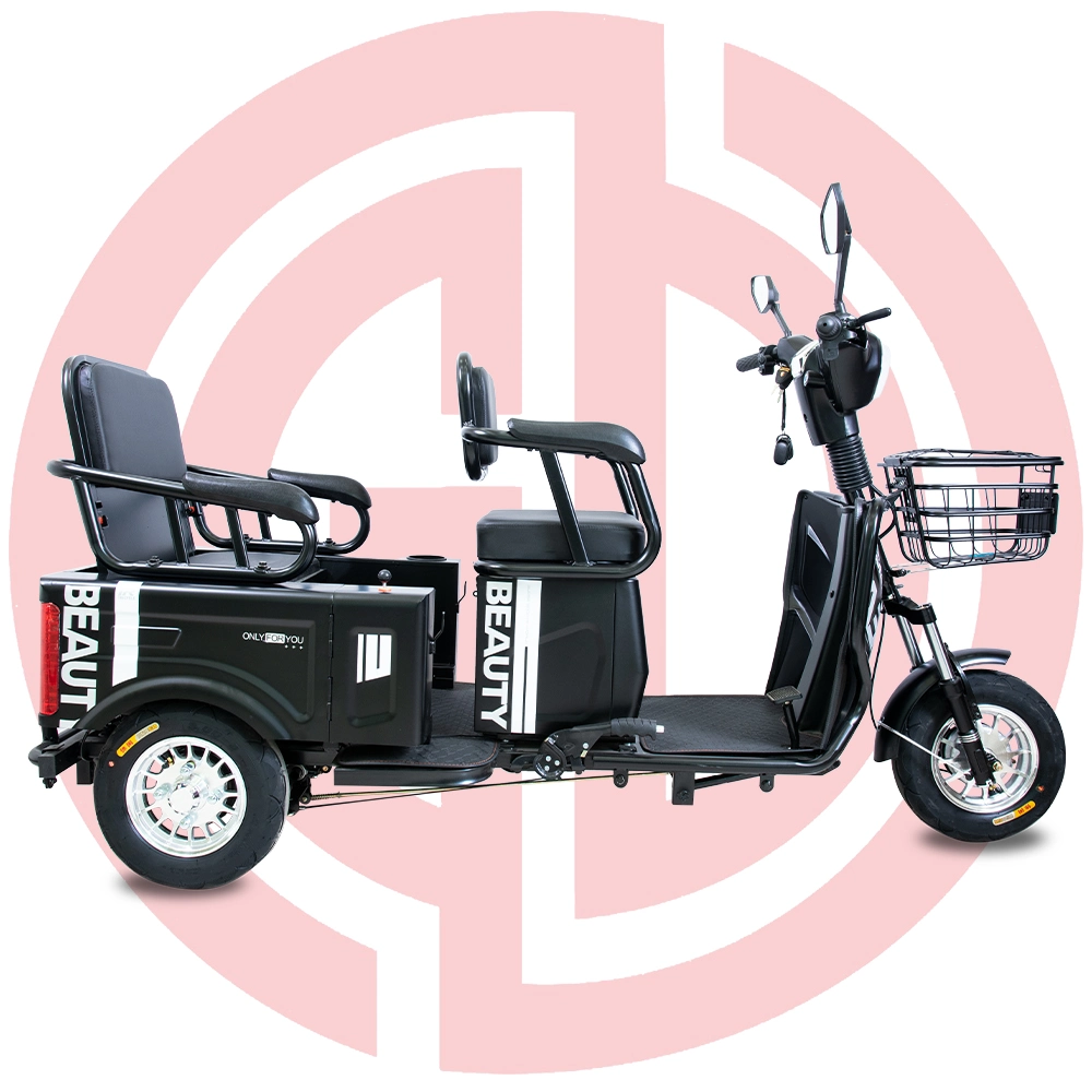 2021 New Tumbler Electric Tricycle with 3 Wheel/Electric Vehicle OEM