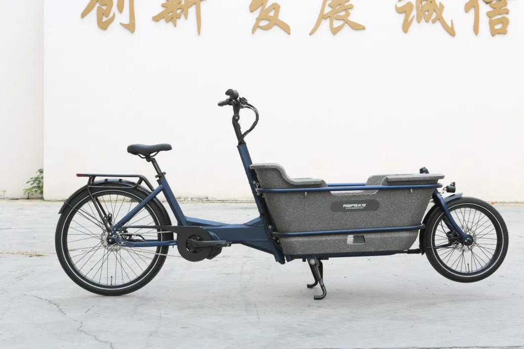 Wholesale Front Loading Fat Tire/Tyre Rideable Children MID Motor Battery Family Delivery Electric Cargo Bike At006 48V