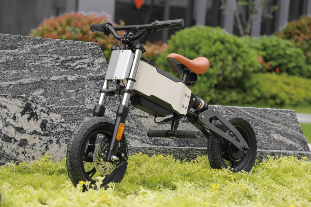 EEC Hot-Sale Adult Electric Bikes and Kid E-Bike with 36V/48V Lithium Battery 250W/500W Motors