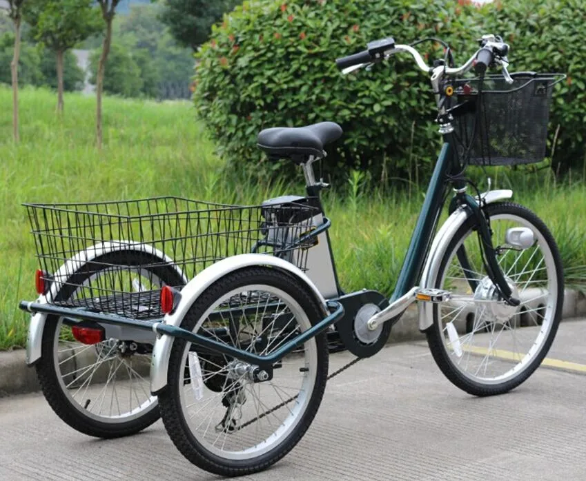 New Design 20 Inch Cargo 3 Wheel Electric Bicycle for Old People