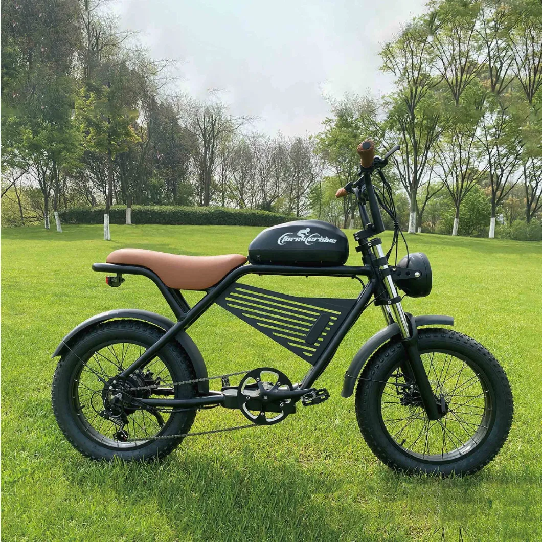 EEC Hot-Sale Adult Electric Bikes and Kid E-Bike with 36V/48V Lithium Battery 250W/500W Motors