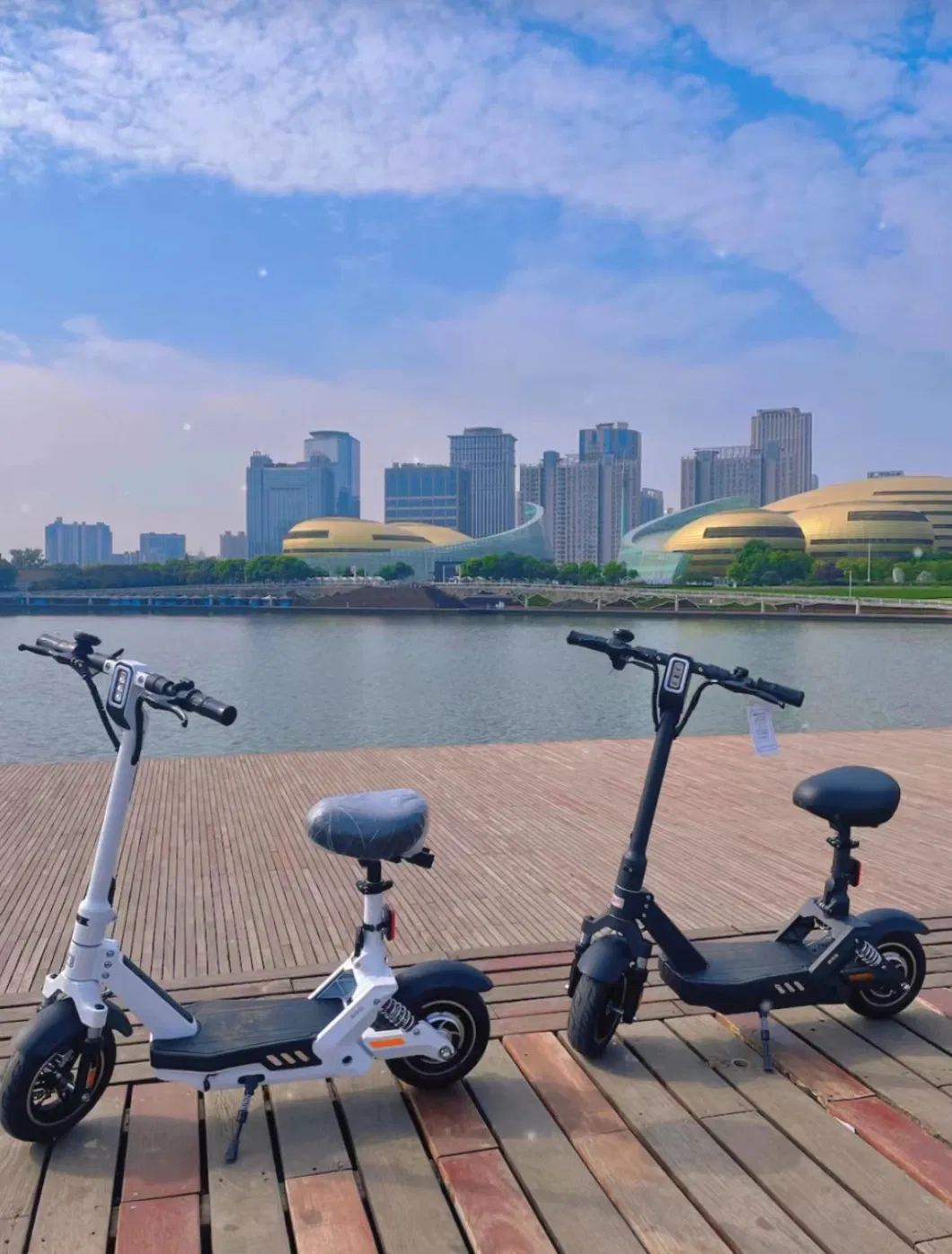 Electric Bicycle for Adults with Power Assist