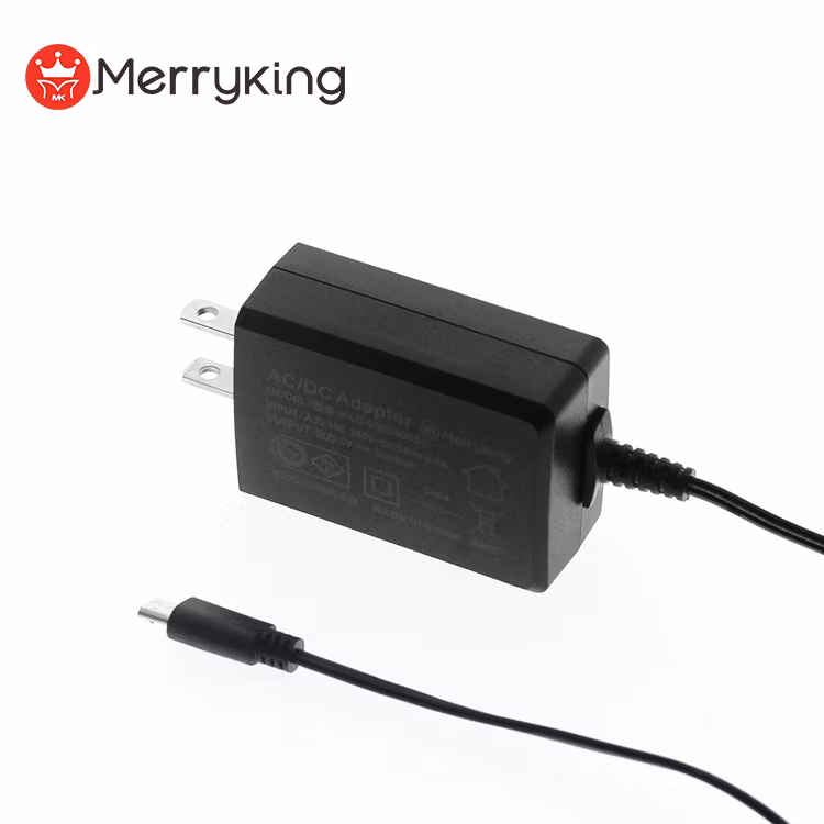 Black White 9V 2A 18W Series Wall Mount Type AC DC Power Adapter with CE UL GS Certificates for LED Light/Video/Audio