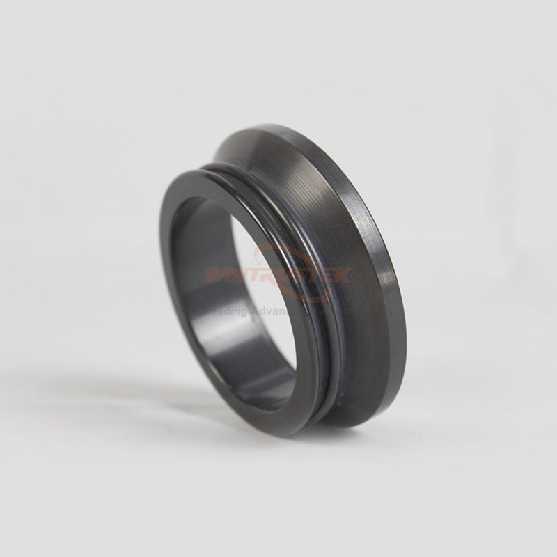 Silicon Nitride Si3n4 Ceramic Seal Ring for Fluid Equipment