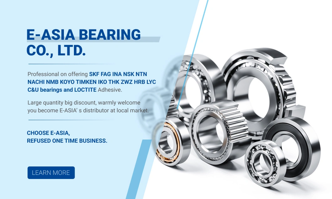 Wj1023 Small Wheel Ball Bearings with Si3n4 Ceramic Balls S693c-2RS/S693c-Zz/S693c