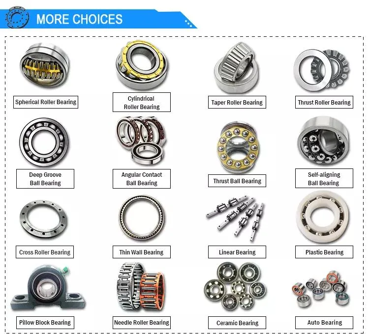 China Manufacture Si3n4 694ce Full Ceramic Bearing