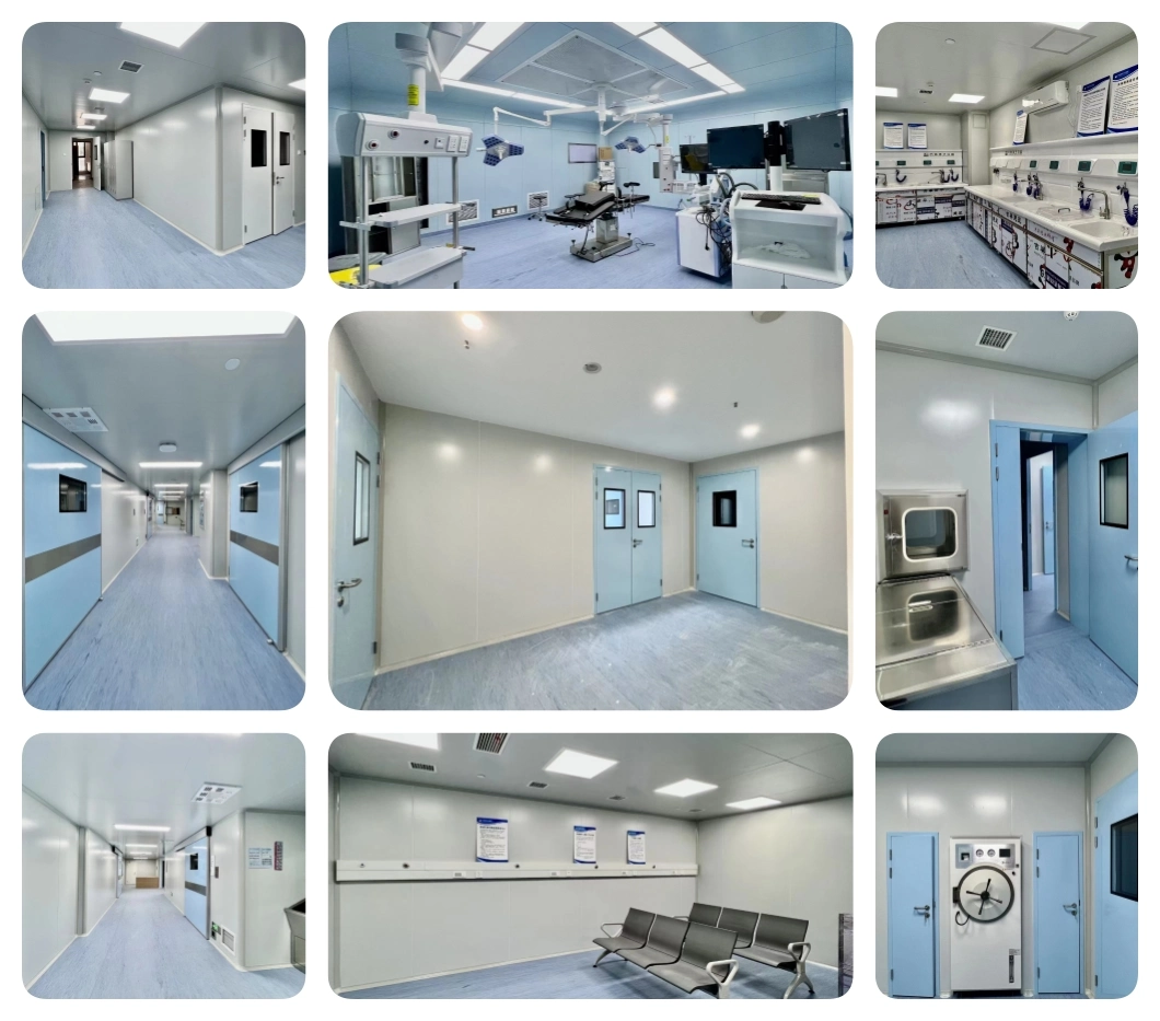 GMP Standard Pharmaceutical Biological Laboratory Clean Room / Medicine Lab Dust Free Lab