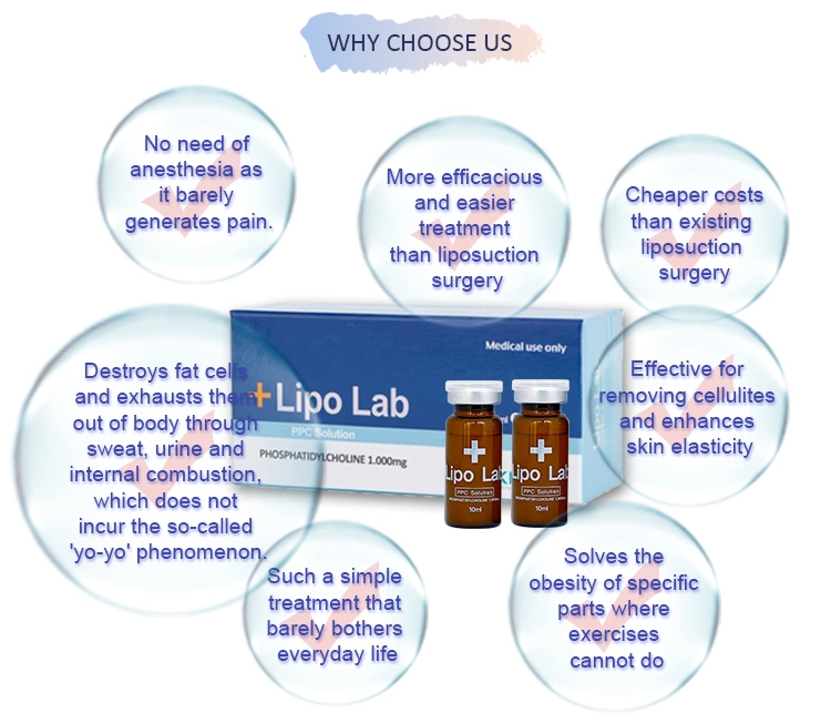 Korea Lipolab Fat Dissolve Solution Injection Belly Fat Lipo Lab for Weight Loss Effectively