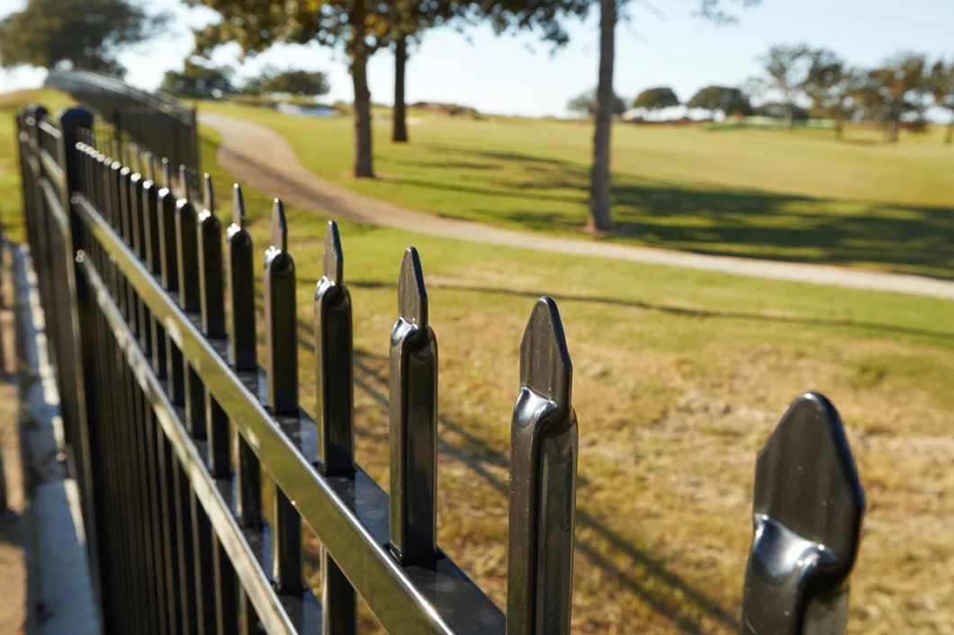 Factory Direct Supply Galvanized Metal Picket Ornamental Fence Tubular Steel Fence/Garden Fence