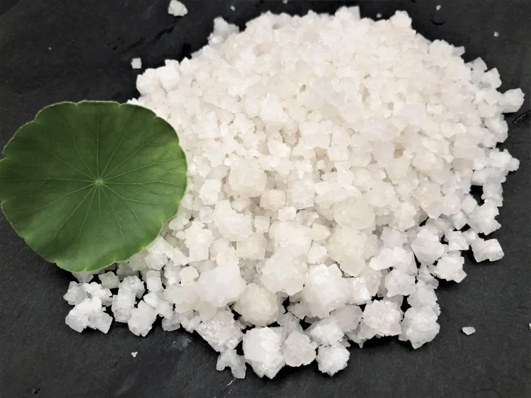 High Quality 94.5%Min Nacl Raw Sea Salt White Salt Sodium Chloride