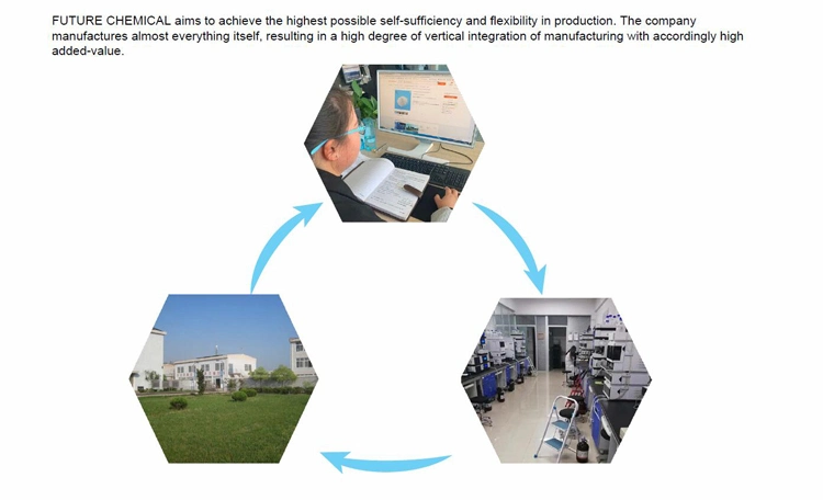 Hydrated Zirconia for Pigment Formulation Analytical Reagents CAS 14475-63-9 Zirconium Hydroxide