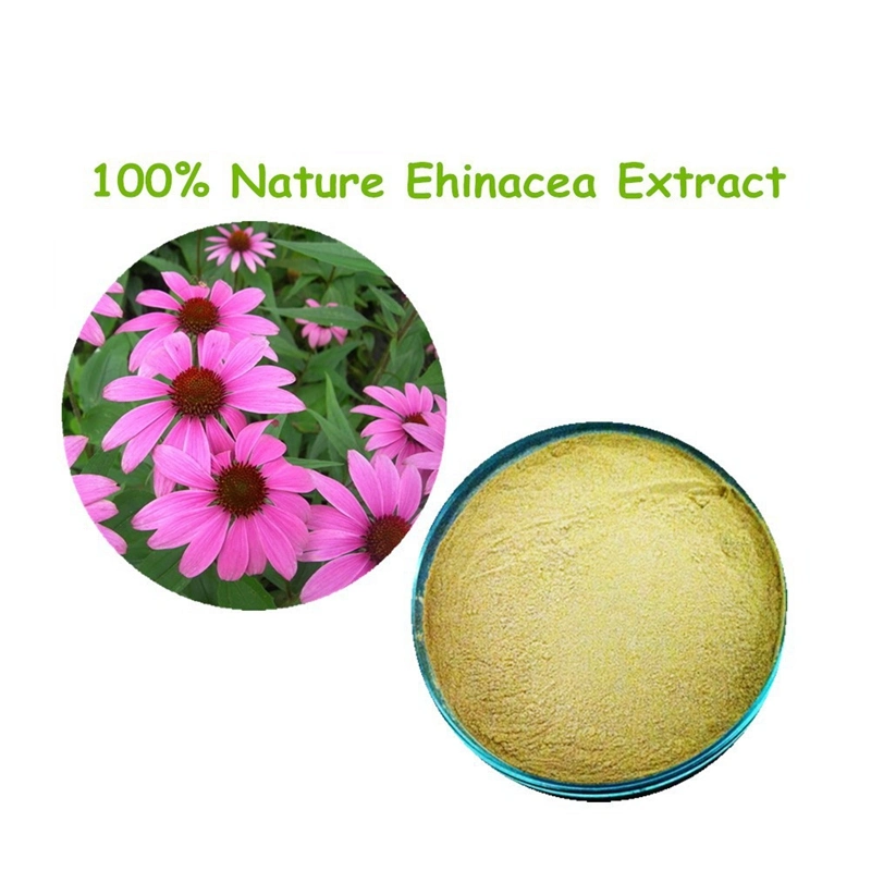 Factory Supply 2023 New Product Echinacea Purpurea Extract 100% Echinacea Polyphenol Powder