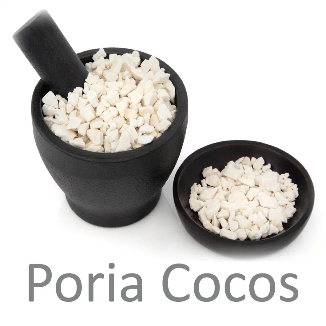 Superior Quality Factory Supply 100% Botanical Plant Poria Cocos Extract Powder