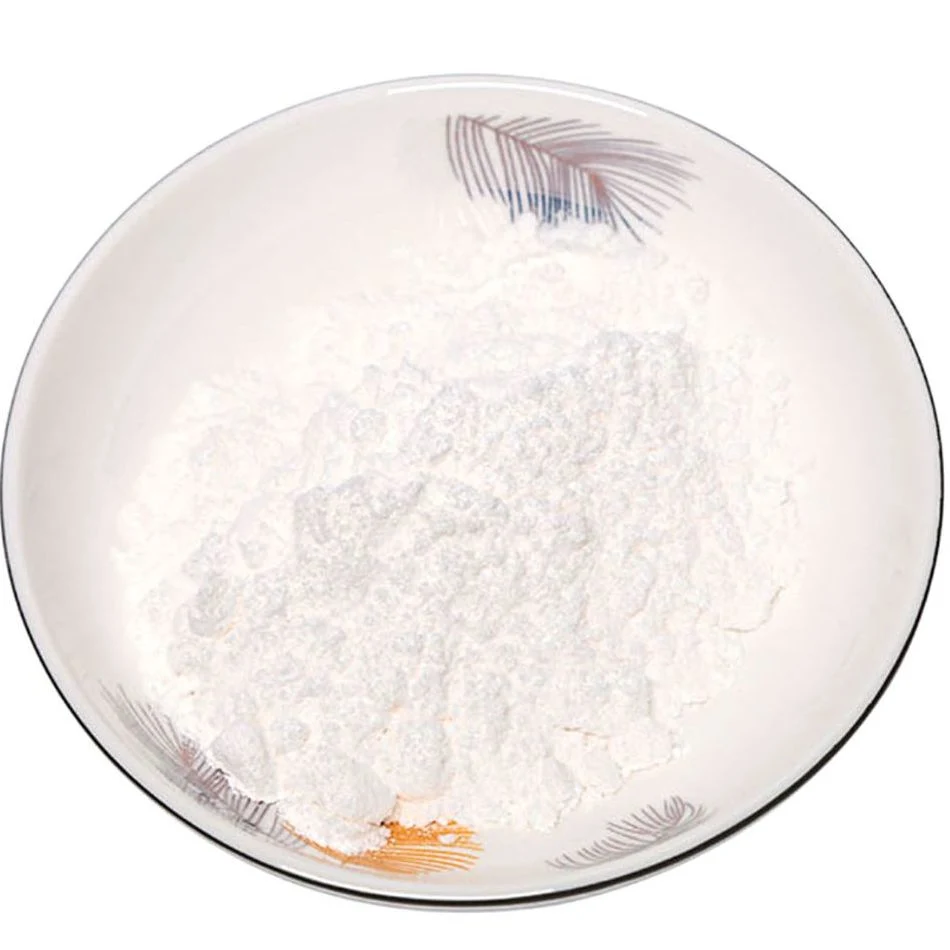 Zirconium Dioxide Zro2 99% Purity CAS 1314-23-4 with Factory Price