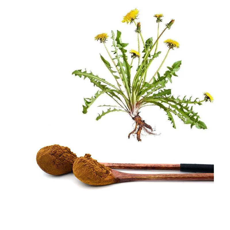 Chinese Supplier Organic Herbal Extract 5% Flavone Dandelion Root Extract Powder