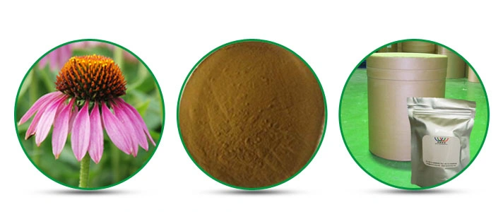 Manufacturer for Hibiscus Flower Extract Instant Cold Water Soluble Powder