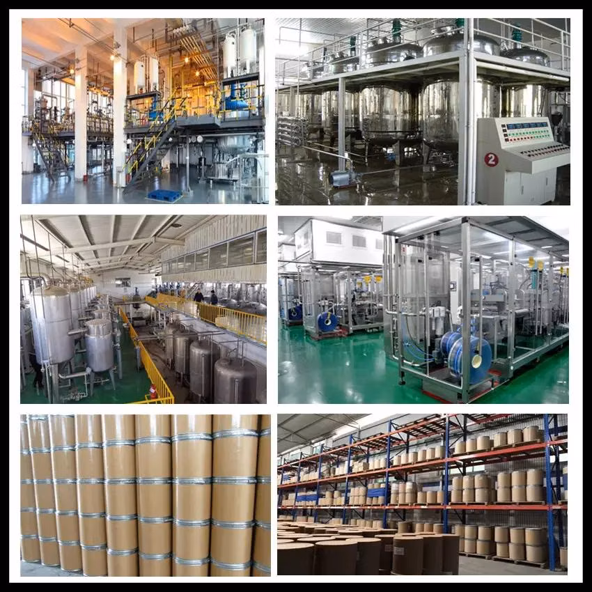 Competitive Price White Yttria Powder 99.9999% Yttrium Oxide Y2o3
