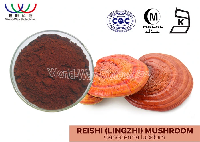 Health Food Grade Factory Supply Private Label Reishi Ganoderma Lucidum Extract Powder