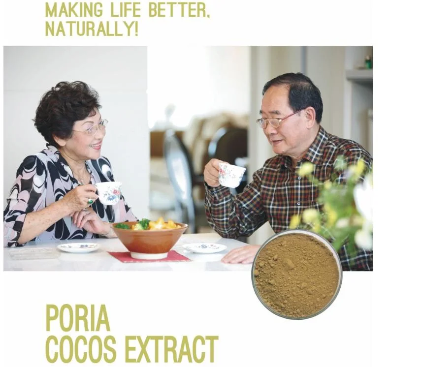 Superior Quality Factory Supply 100% Botanical Plant Poria Cocos Extract Powder