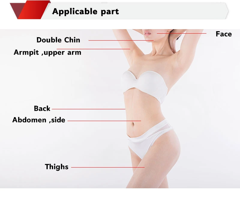 Korea Lipo Lab Ppc Slimming Solution Fat Dissolving Kybella Lipolab Lipolysis Injection Lipo Lab for Stomach Arms Legs