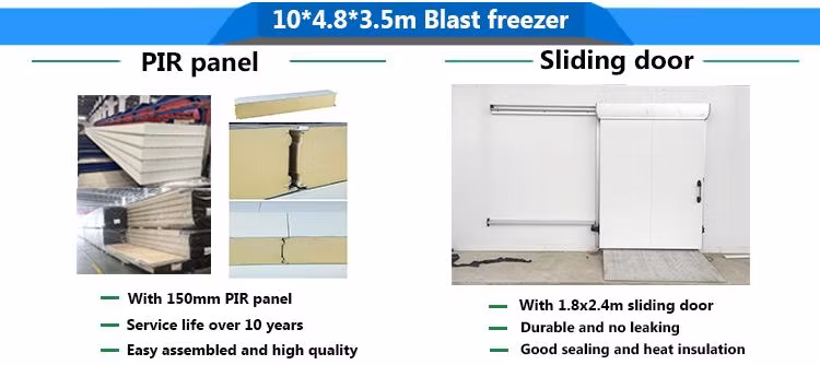 Wholesale Meat Frozen Fish Cold Storage Blast Freezer Warehouse Energy Efficient Walk-in Freezer