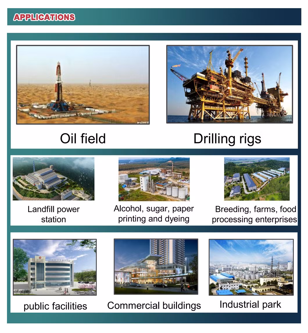 Diesel/Natural/Cogeneration/Deutz//Biogas/Biomass/LPG/CNG/Propane/Methane Gas Generator Set Manufacturer for Power Plant/Power Station