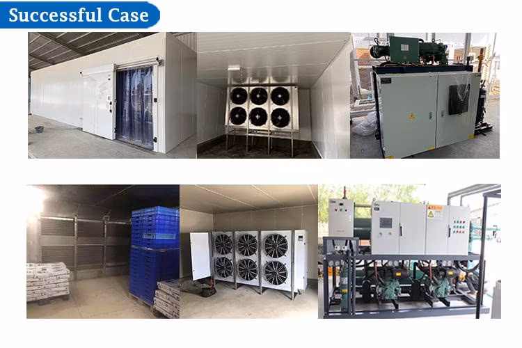 Wholesale Meat Frozen Fish Cold Storage Blast Freezer Warehouse Energy Efficient Walk-in Freezer