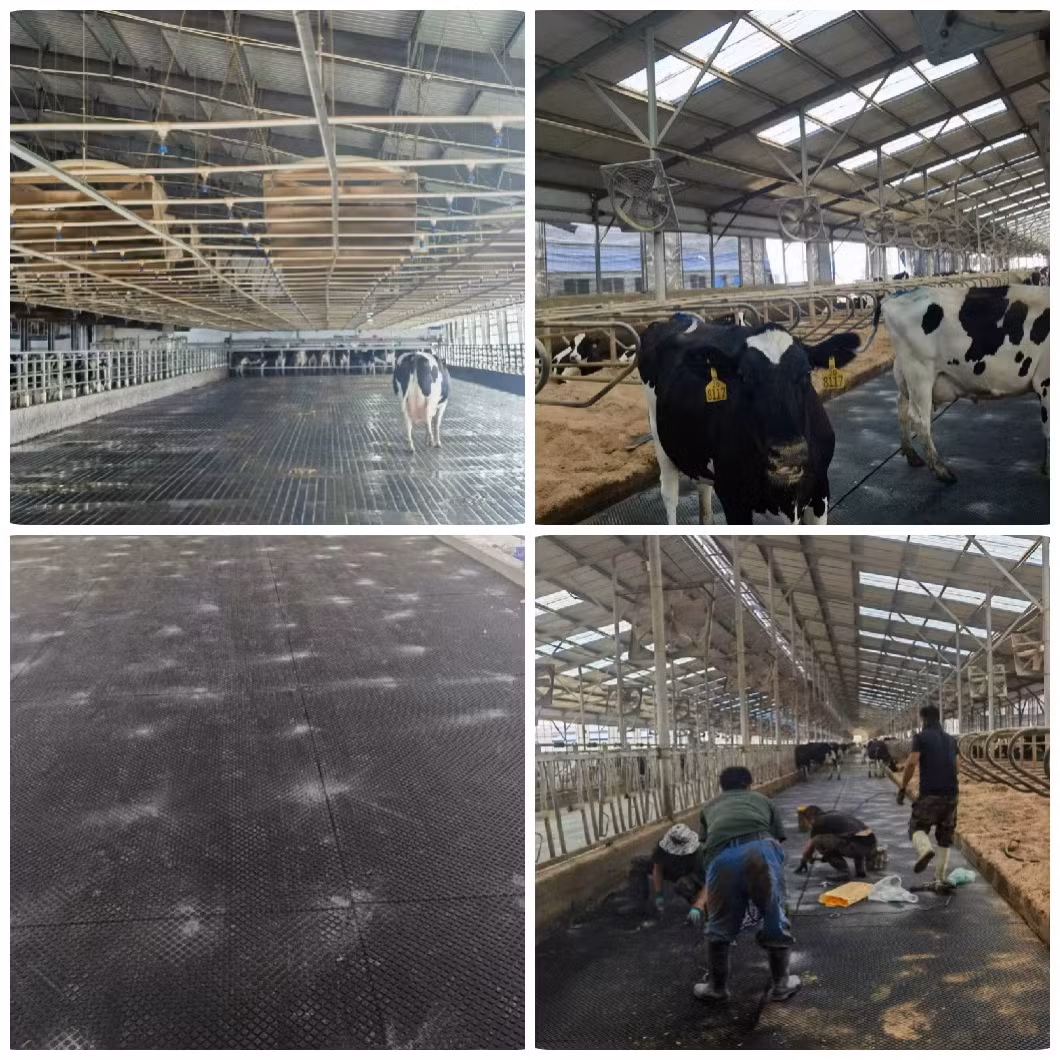 Easy to Clean Comfortable Weather Resistant Anti Fatigue Livestock Rubber Mat