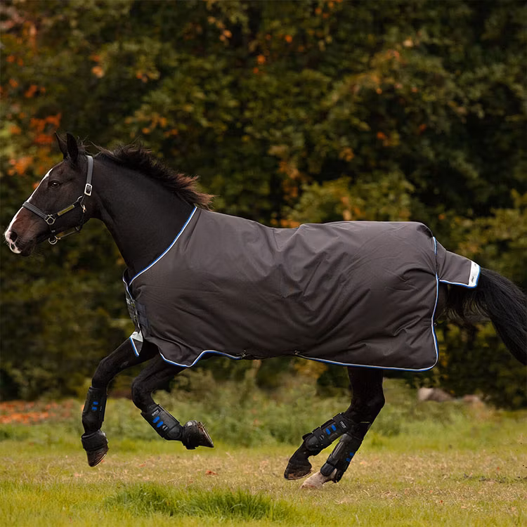 Customized Color Elastic Breathable Summer Sweat Absorbing Equestrian Horse Rug Cotton