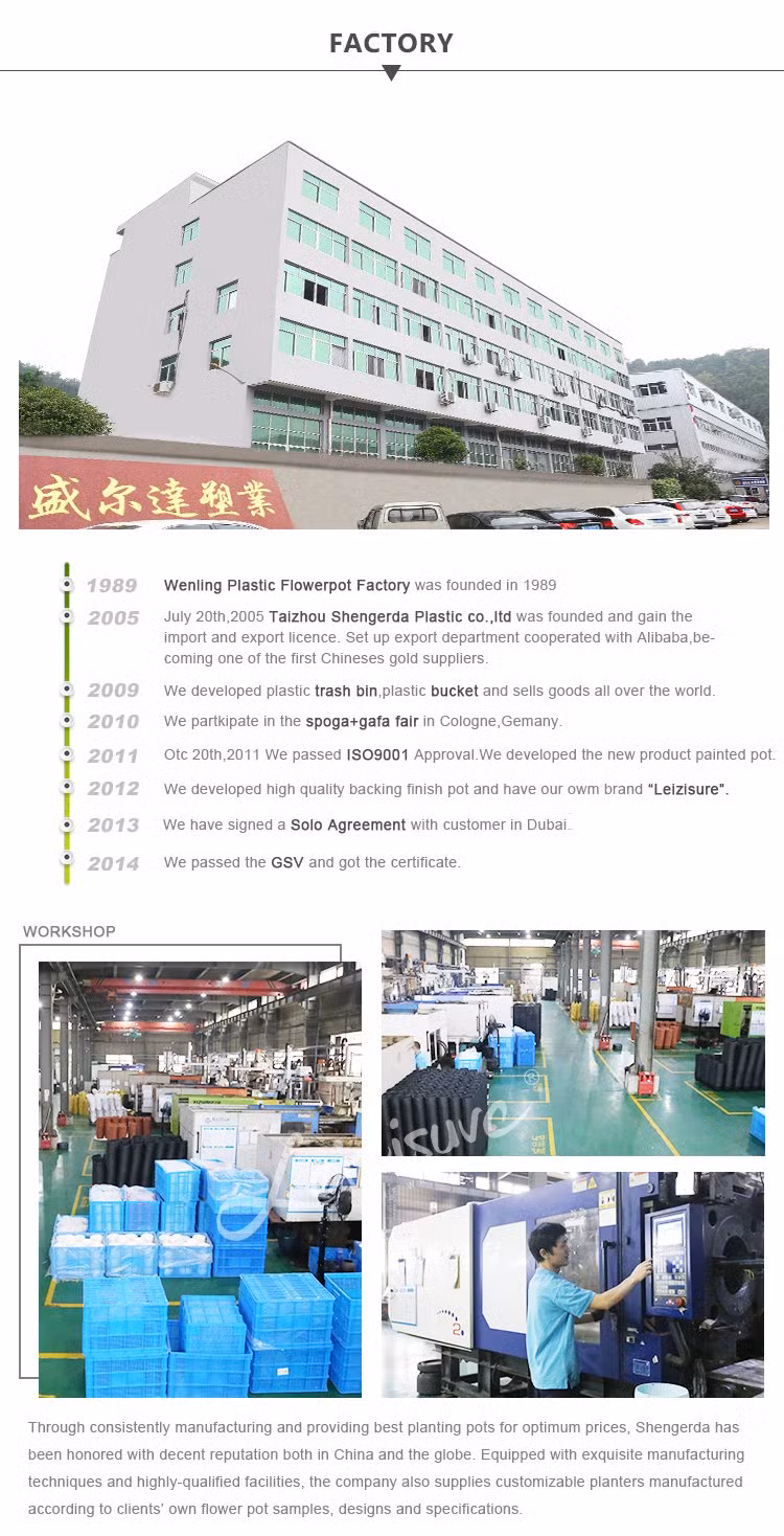 Western Table Wholesale Seedling Trays for Plants Herbs Cactus and Flowers Minimalist Style Nursery Pots Tree Grow Pot (HG-2946-1)